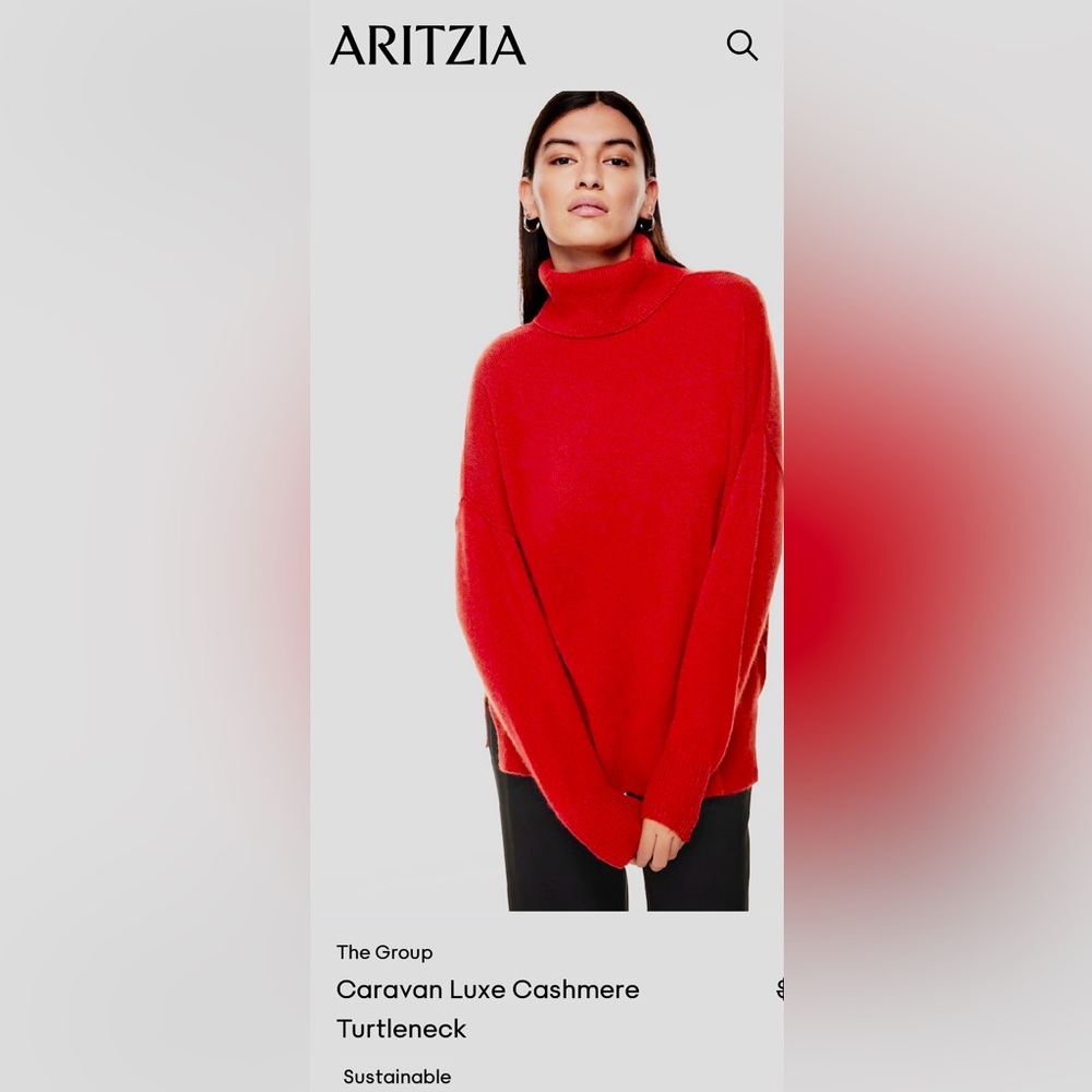 Aritzia Babaton Cashmere Cozy Red Turtleneck Sweater